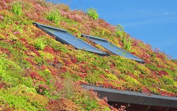 Green Tye living roof systems