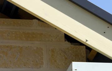 soffit repair Green Tye